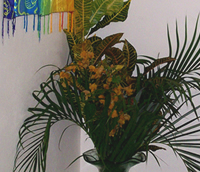 Tropical Bouquet